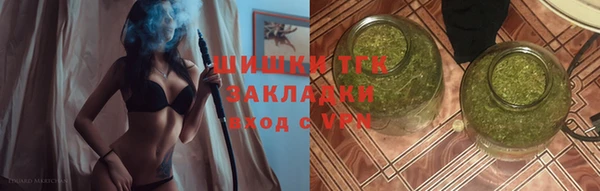 твердый Вяземский