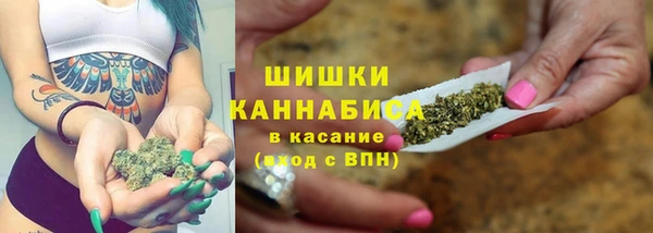 твердый Вяземский