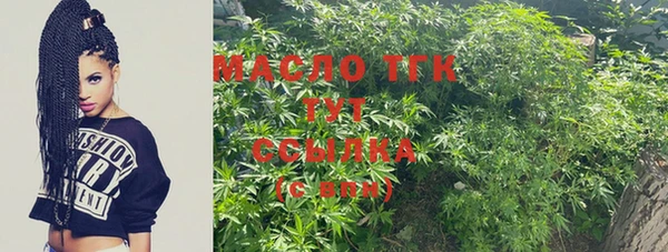 твердый Вяземский