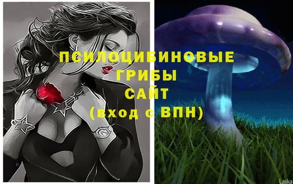 твердый Вяземский