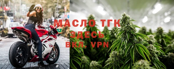 твердый Вяземский