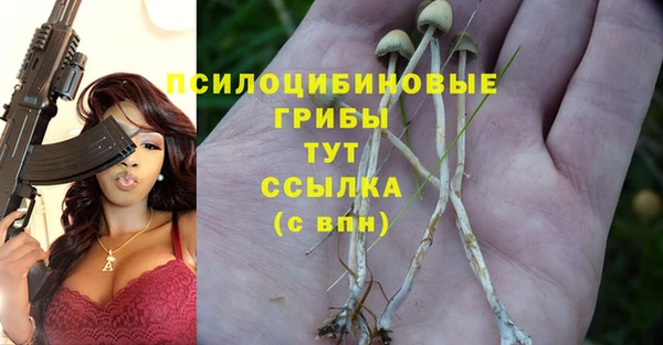 твердый Вяземский