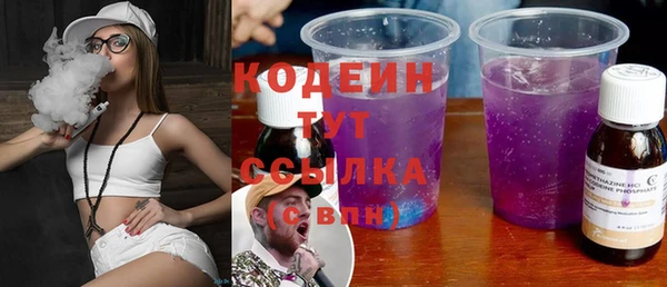 твердый Вяземский