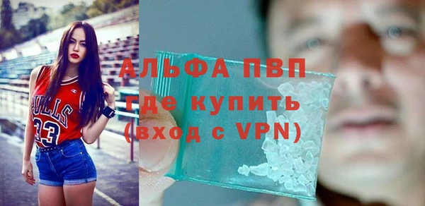 твердый Вяземский