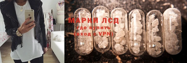 твердый Вяземский